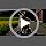 Dog Shoes for Hot Pavement Non-Slip Waterproof Dog Shoes for Medium Dogs Large Size Dogs Easy ON & Off Adjustable Easy-Clean for Beach Outdoor Rose Pink, Size M: (2.5’’x2-2.2’’)(L*W)